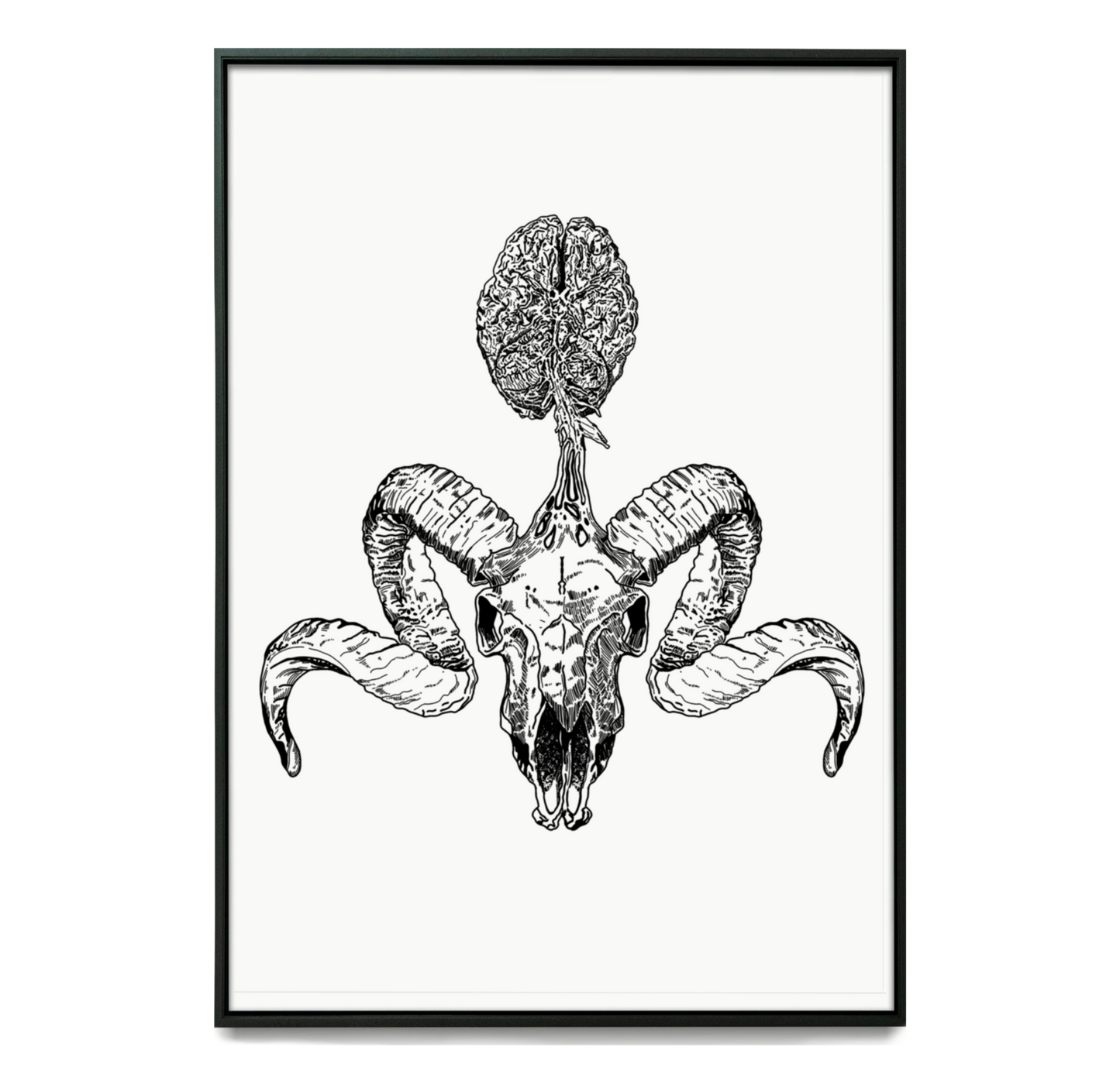 Aries Art Print