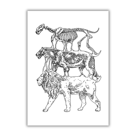 Leo Art Print