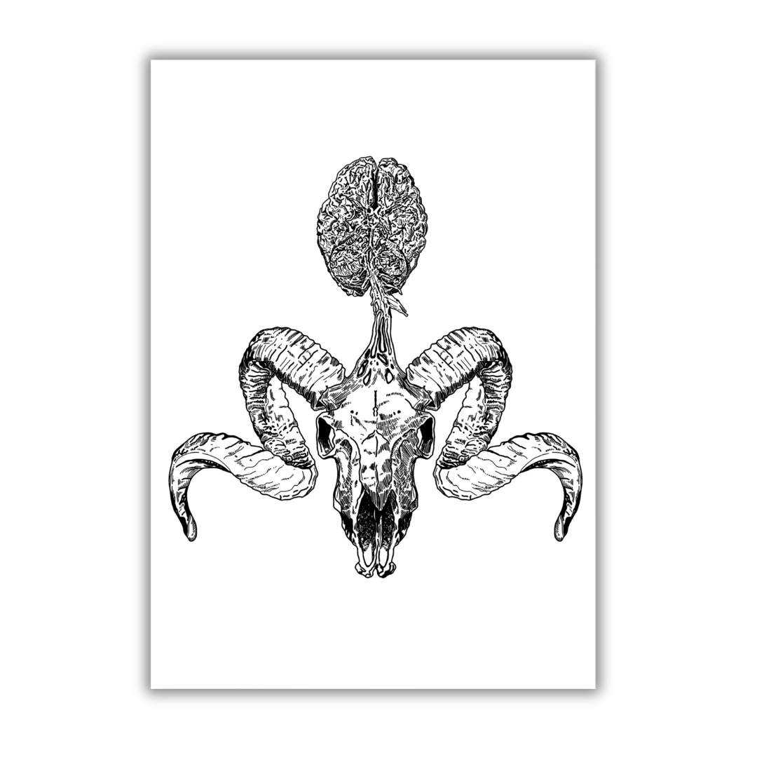 Aries Art Print