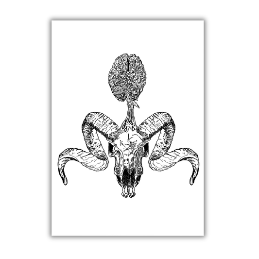 Aries Art Print
