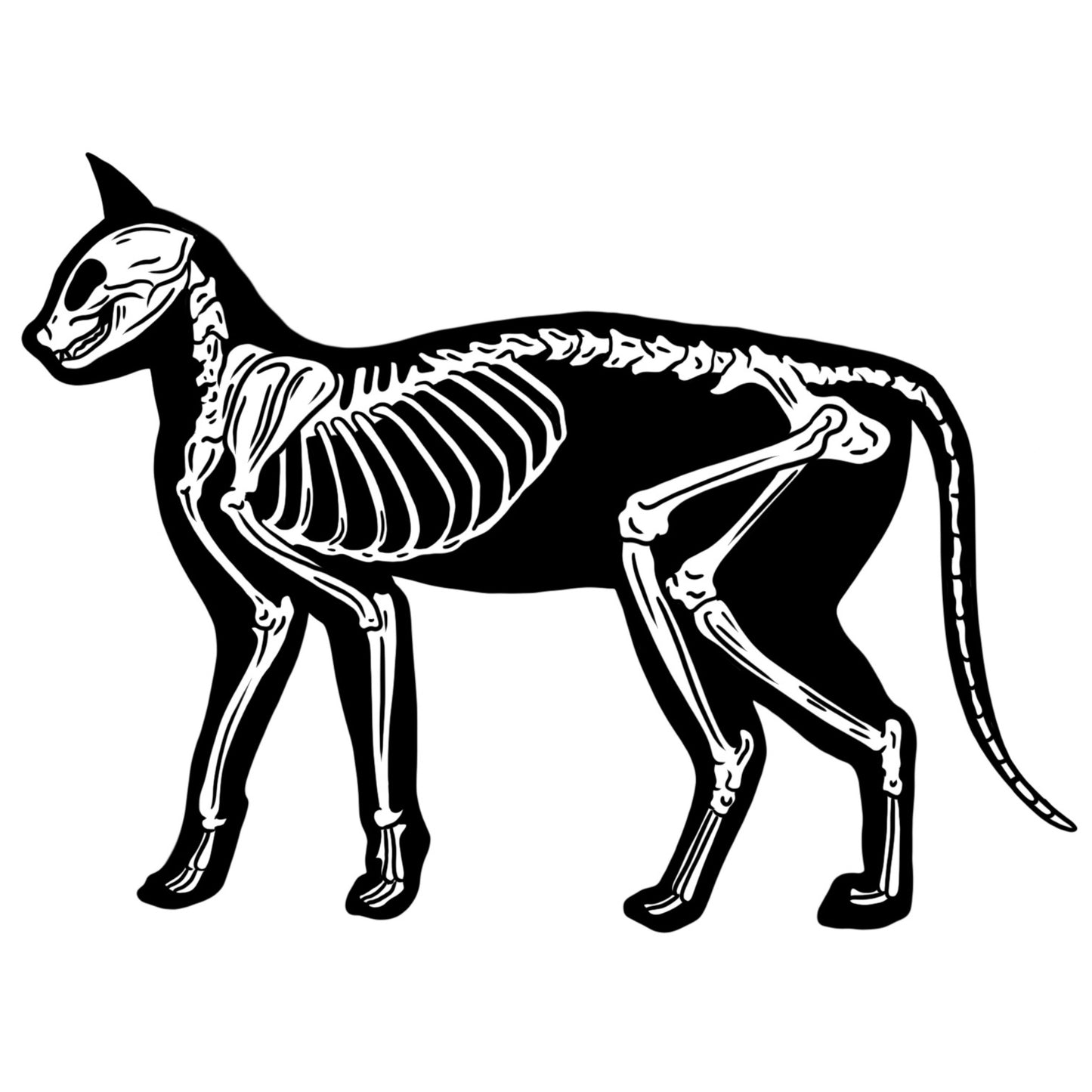 Cat Skeleton Sticker