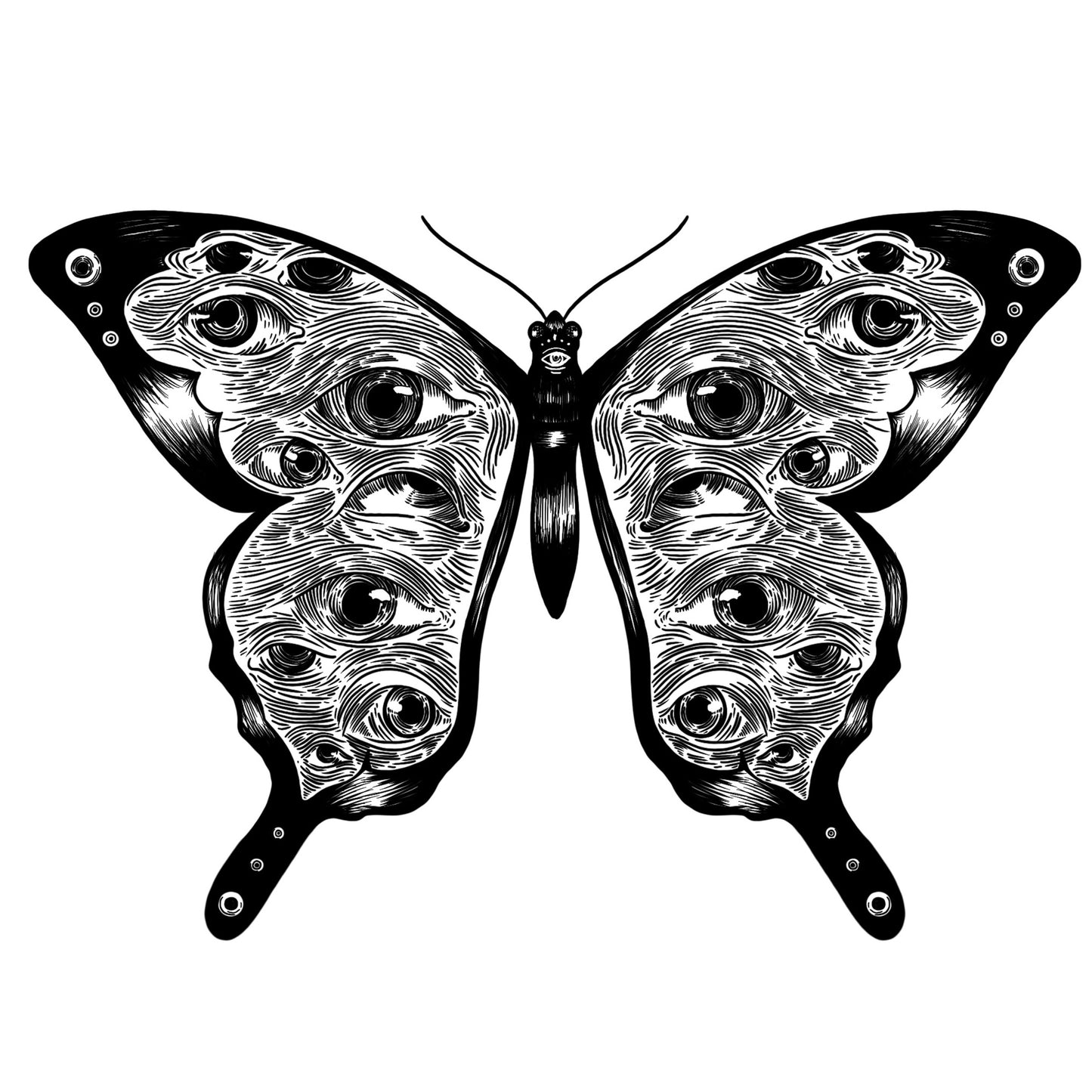 Eyeball Moth Sticker