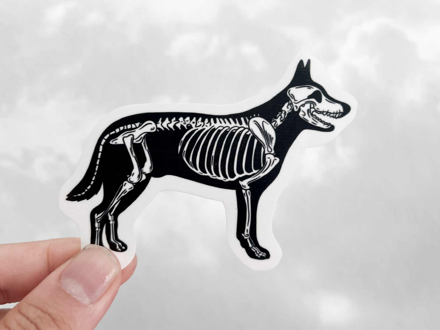 Dog Skeleton Sticker