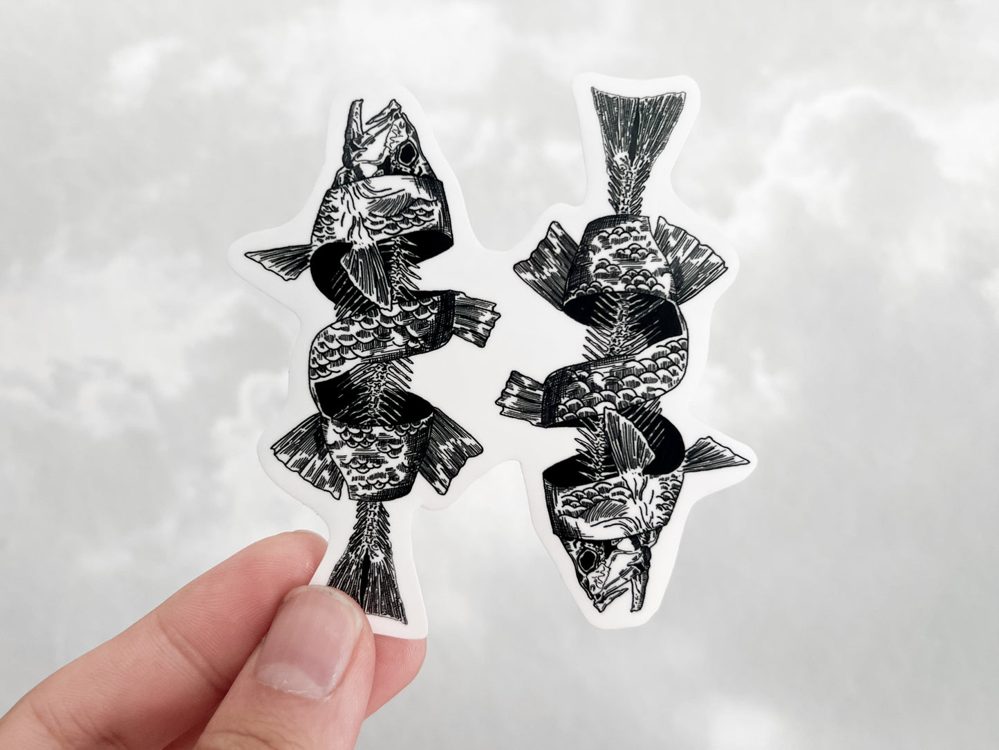 Pisces Sticker