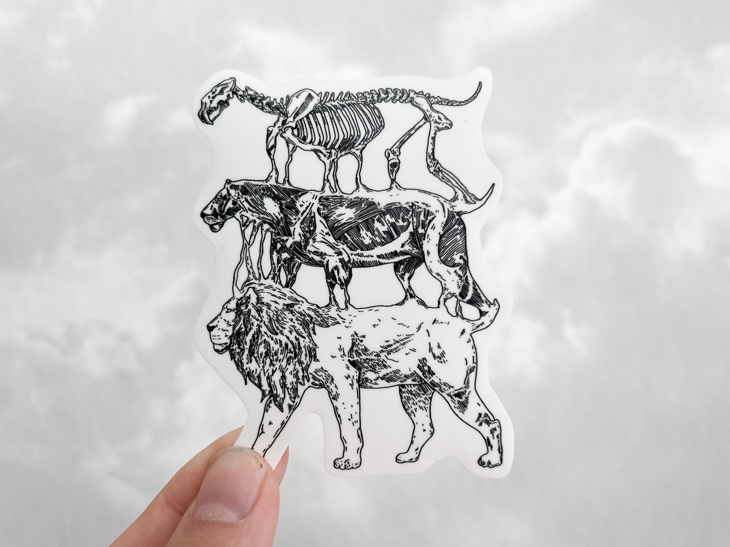 Leo Sticker