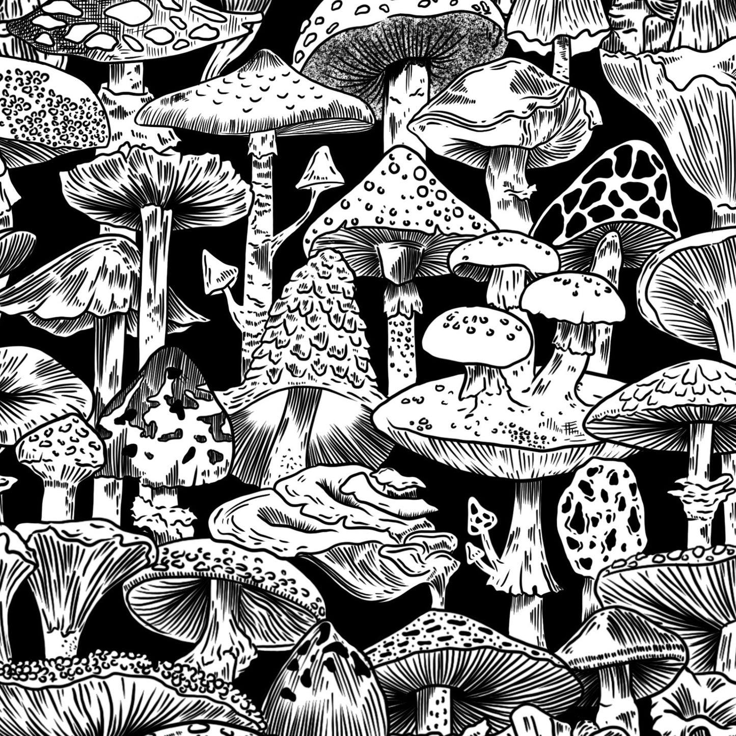 Mushroom Forest