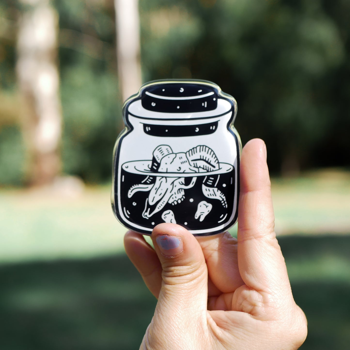 Ram Skull Acrylic Magnets