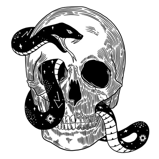 Snake In Skull Sticker
