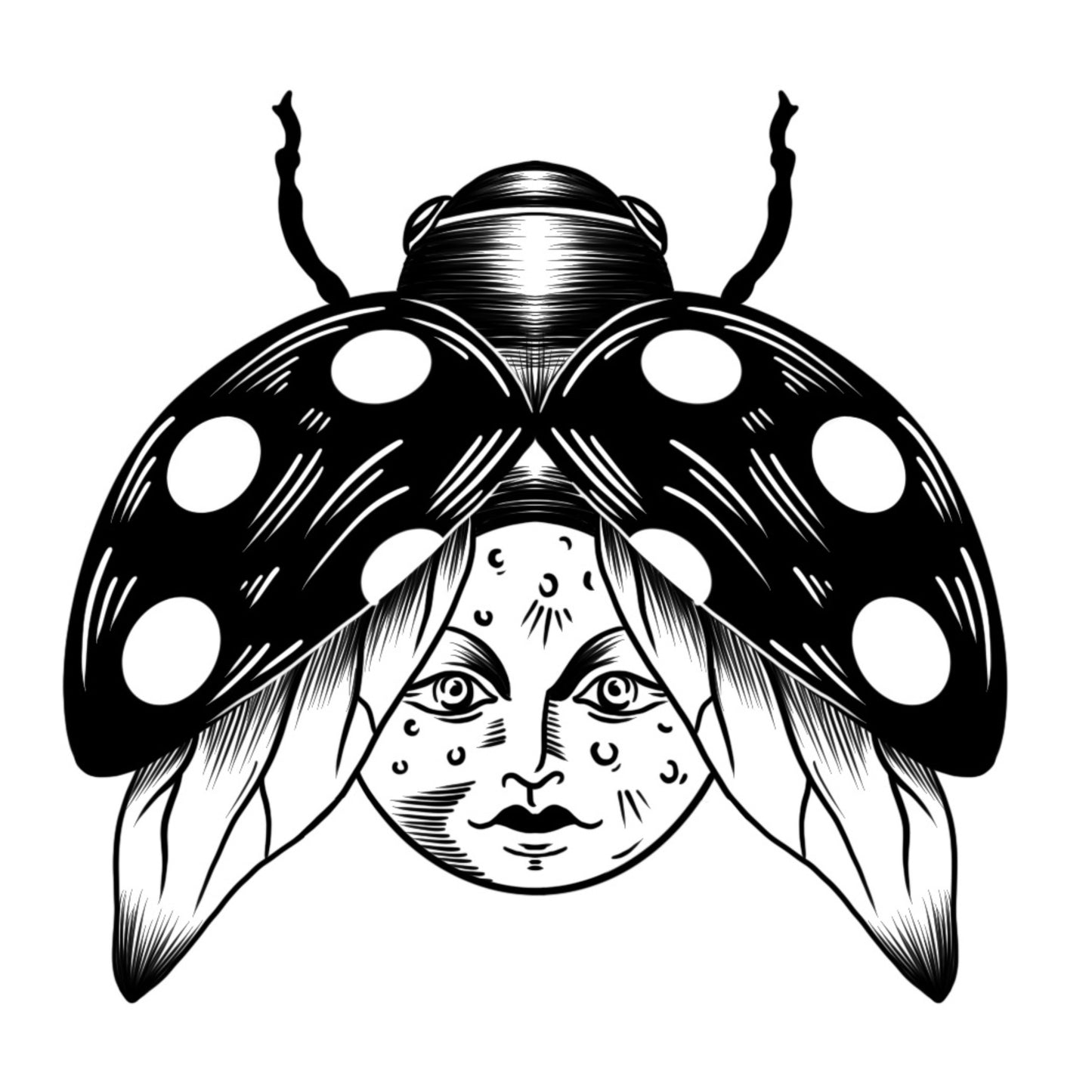Moon Lady Bug Sticker