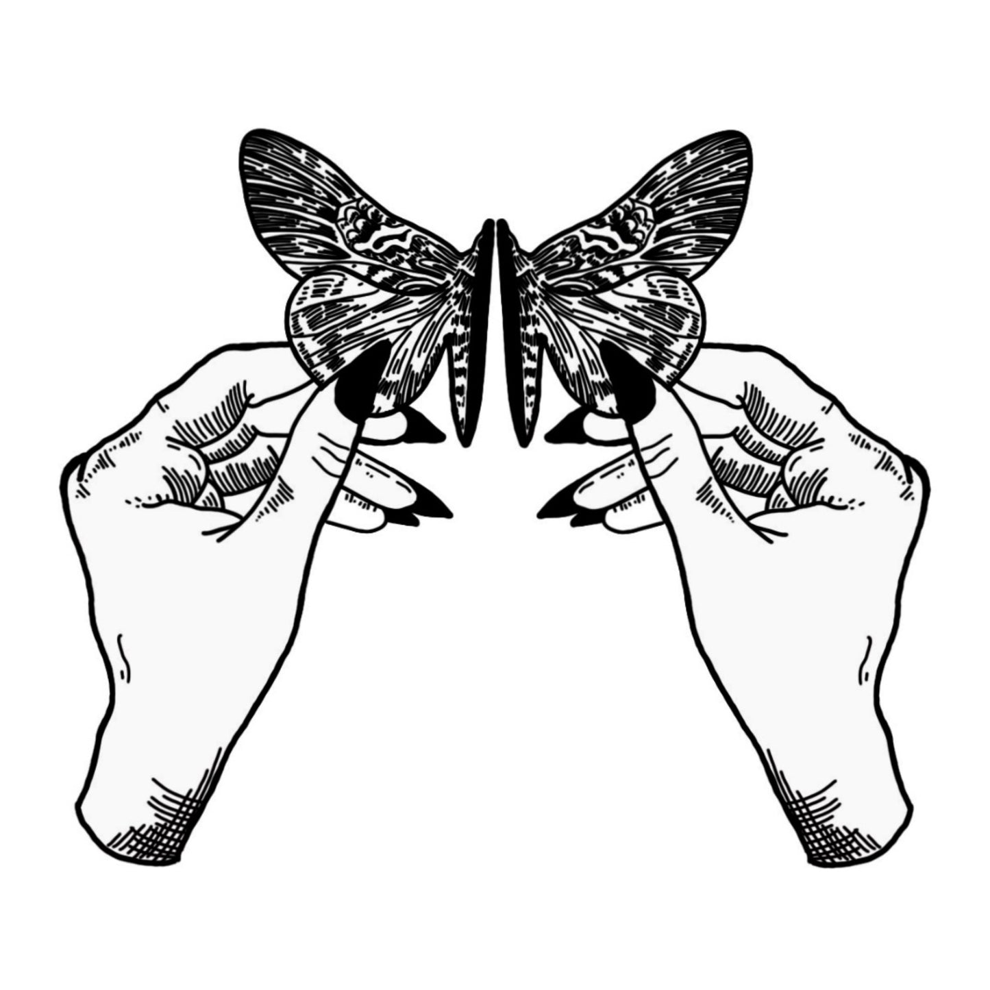 Hand Holding Moth Sticker