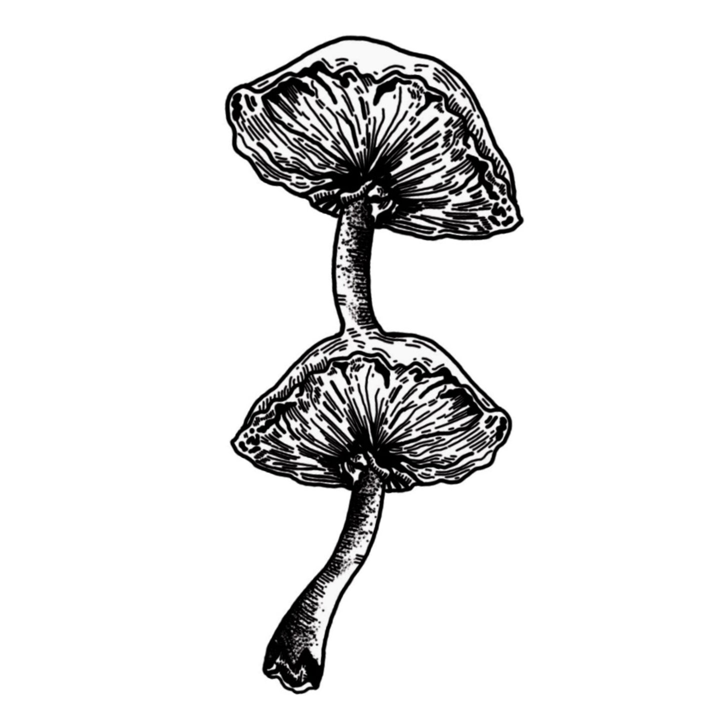 Double Mushroom Sticker