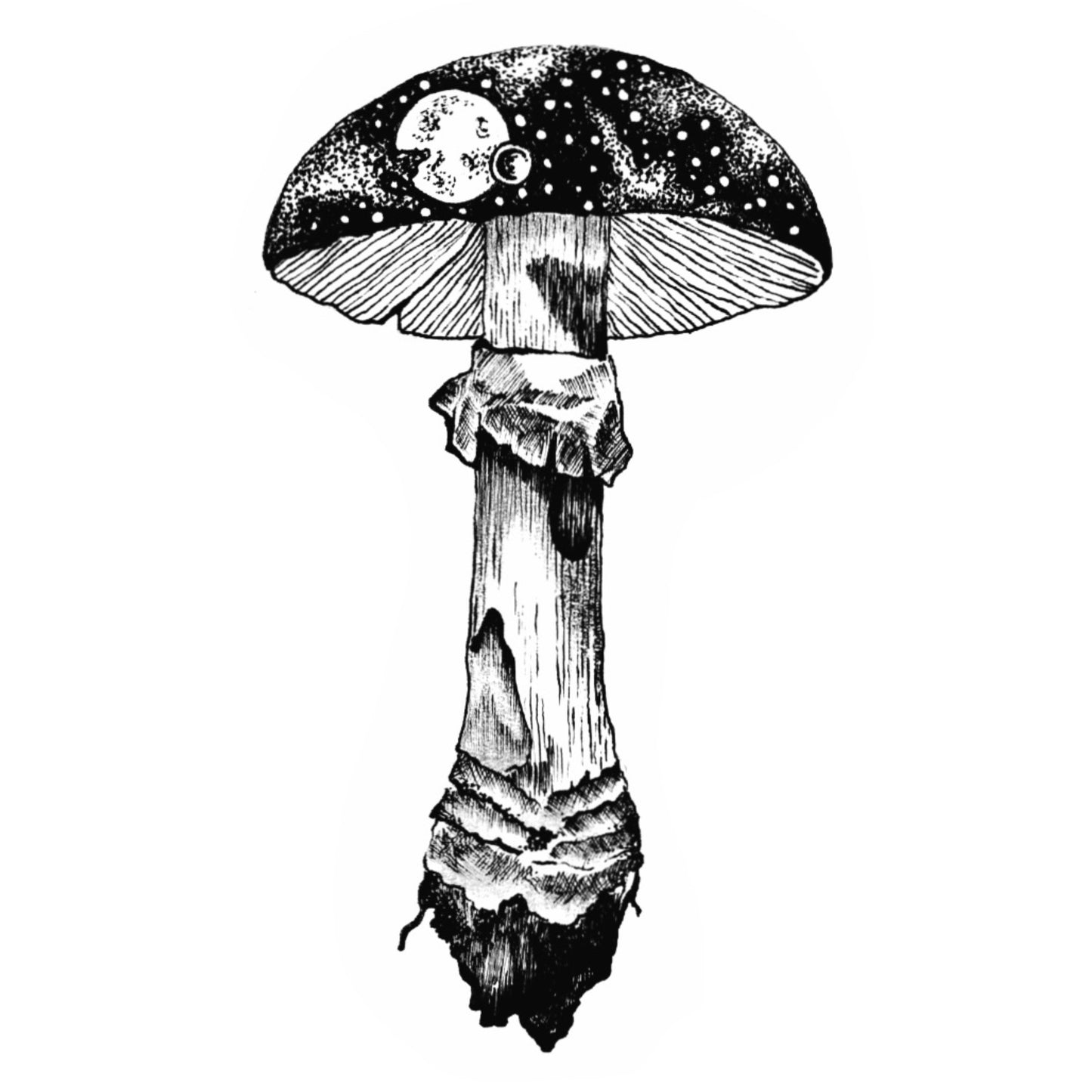 Space Mushroom Sticker