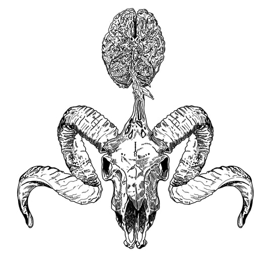 Aries Sticker