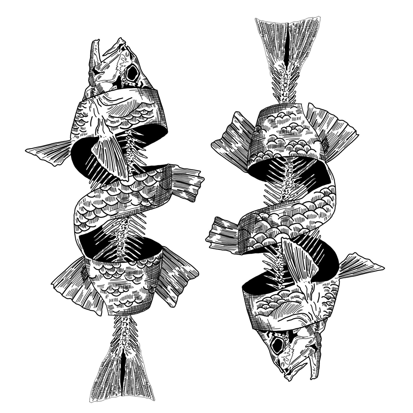 Pisces Sticker